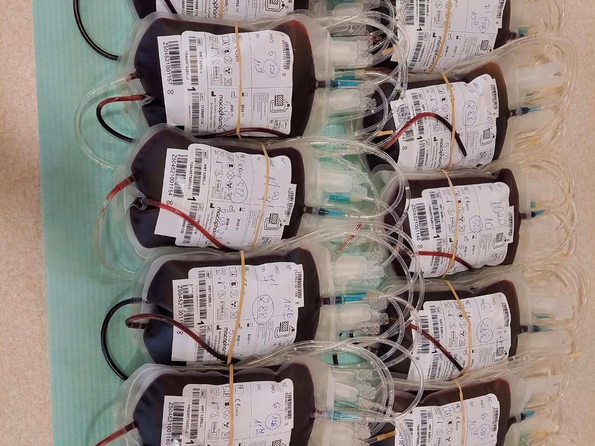 Kolejna udana akcja krwiodawstwa w czasie epidemii - 5 marca 2021