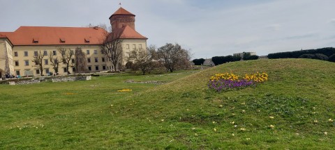 „Polsko Niemiecka Współpraca Młodzieży”