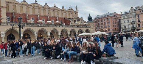 „Polsko Niemiecka Współpraca Młodzieży”