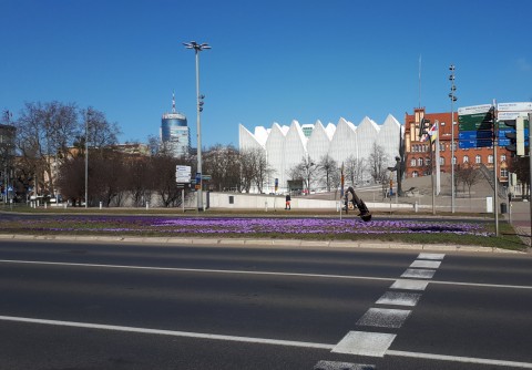 ANIA ŻÓŁTEK FINALISTKĄ XXVI OLIMPIADY WIEDZY O ŻYWIENIU I ŻYWNOŚCI